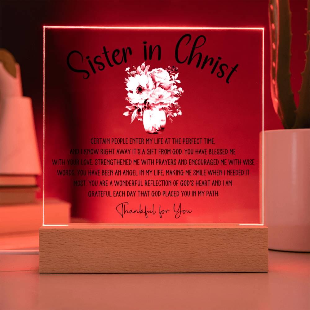 Sister in Christ Perfect Time Friendship Acrylic Plaque